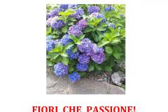 Fiori che passione! in Biblioteca venerdì 10 marzo