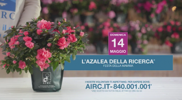 Torna l’Azalea della Ricerca a Bagno a Ripoli