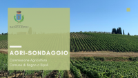 Agrisondaggio