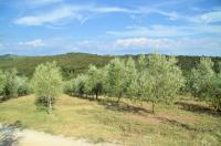 immagine generale immagine generale